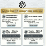 ChatGPT Business Plus/ Go Abonelikleri Kişisel Hesap