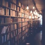 Scopus AI Premium ScienceDirect akademik veritabani erisim