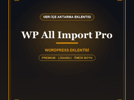 WP All Import Pro WordPress eklentisi - DigitalAbonelik