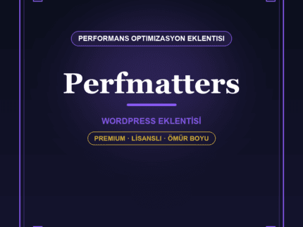 Perfmatters WordPress eklentisi - DigitalAbonelik