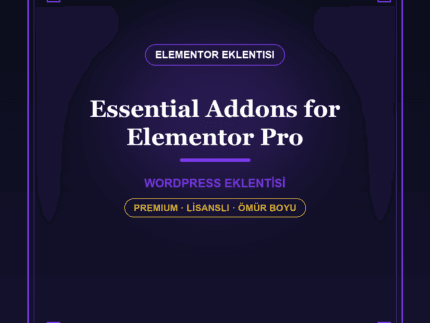 Essential Addons for Elementor Pro WordPress eklentisi - DigitalAbonelik