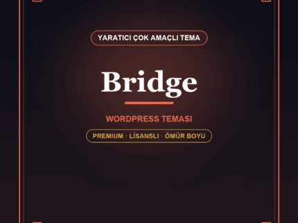 Bridge WordPress temasi - DigitalAbonelik