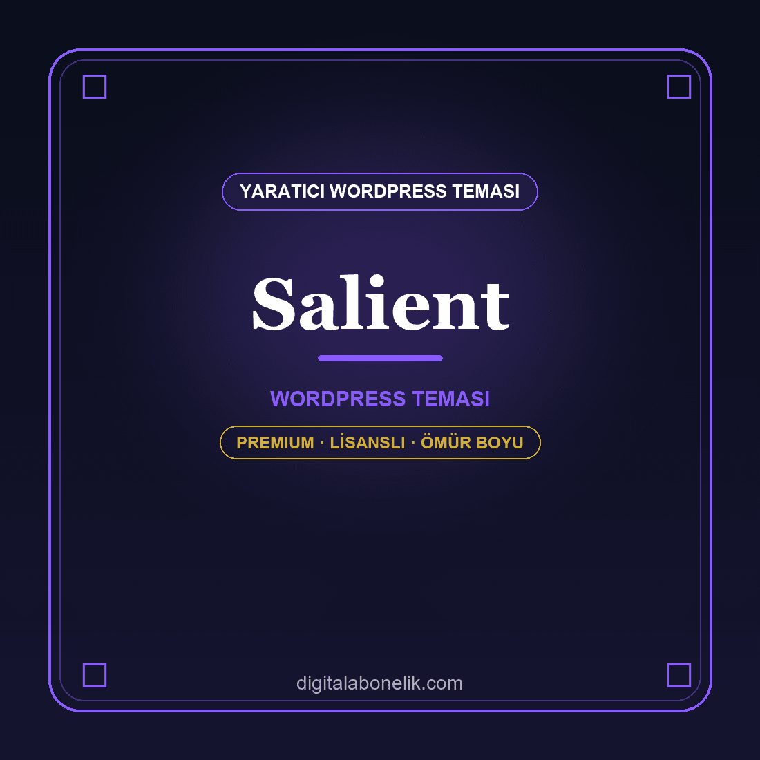 Salient - Yaratıcı WordPress Teması Salient WordPress temasi - DigitalAbonelik