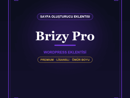 Brizy Pro WordPress eklentisi - DigitalAbonelik