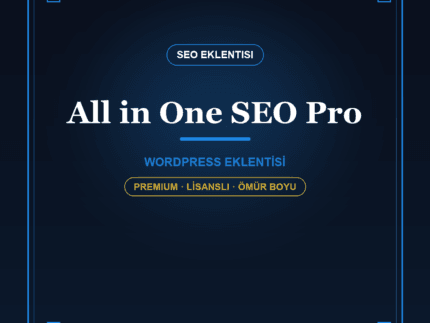 All in One SEO Pro WordPress eklentisi - DigitalAbonelik