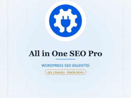 All in One SEO Pro (AIOSEO) - DigitalAbonelik
