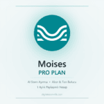 Moises Pro - AI stem ayirma - DigitalAbonelik