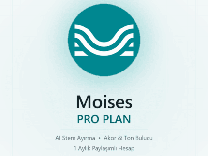 Moises Pro - AI stem ayirma - DigitalAbonelik