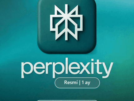 Perplexity Pro 1 Aylik Abonelik
