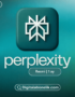 Perplexity Pro 1 Aylik Abonelik