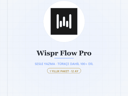 Wispr Flow Pro 12 Aylık - DigitalAbonelik